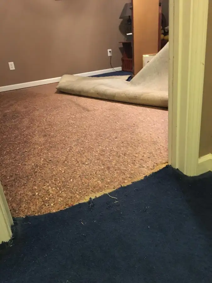 Carpet pad removal revealing water damage during Water Mitigation Services in North Kingstown